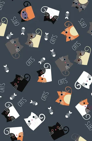 怪猫不吃鱼图片