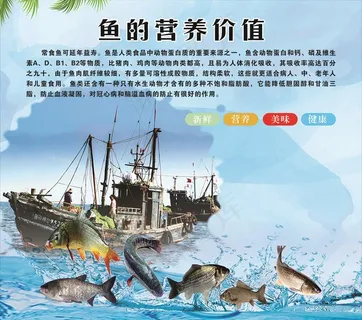 鱼的营养价值图片