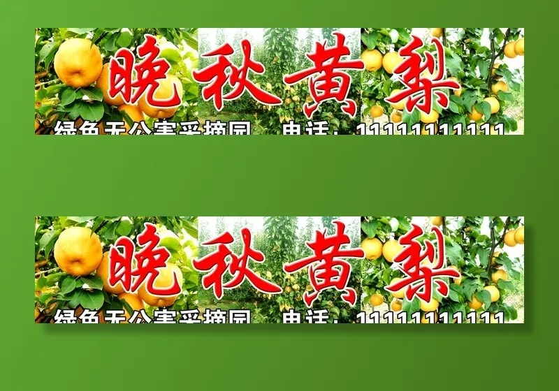晚秋黄梨图片(6299X1575(DPI:40))psd模版下载