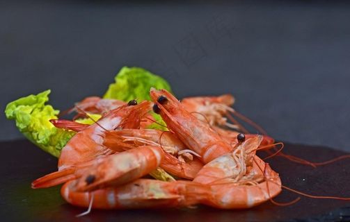虾图片