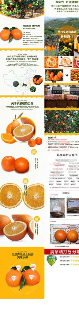 冰糖橙图片
