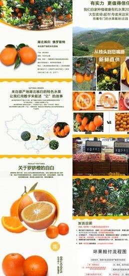 冰糖橙图片