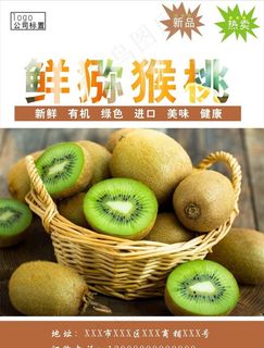 猕猴桃海报图片