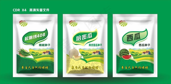 包装  内含平面图图片