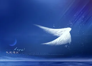 影楼梦幻唯美翅膀相片模板图片