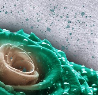 现代简约装饰图片