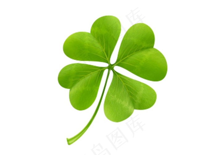四叶草图片