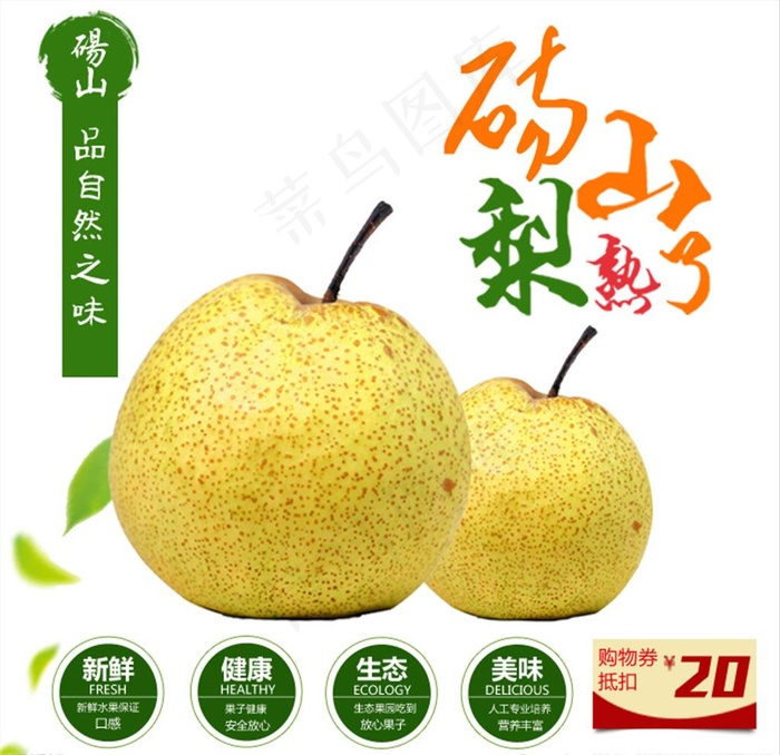 砀山酥梨海报图片