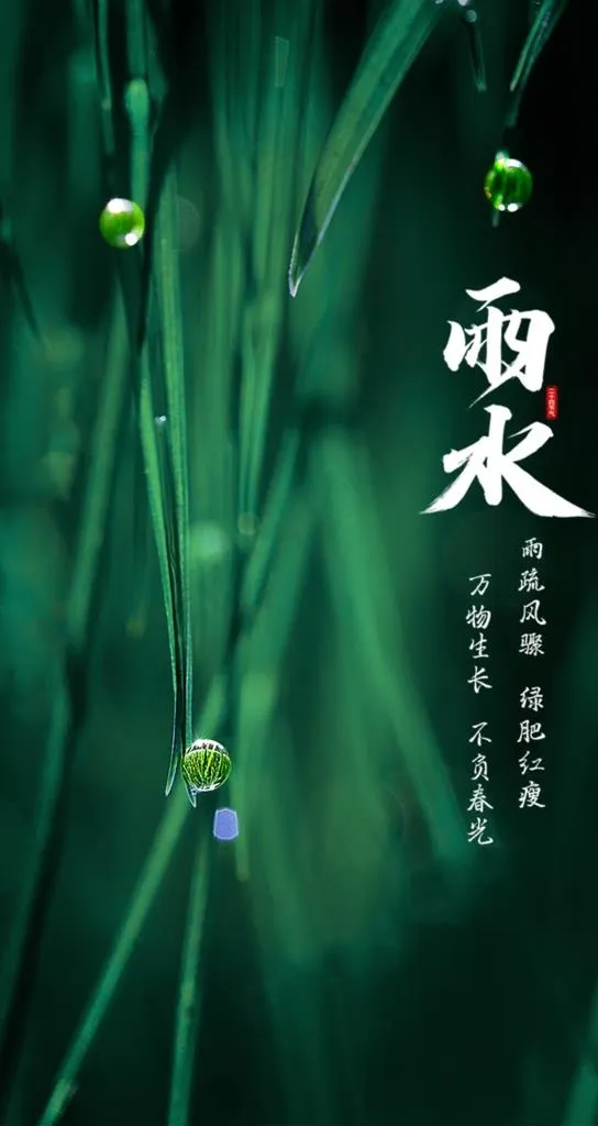 雨水图片psd模版下载