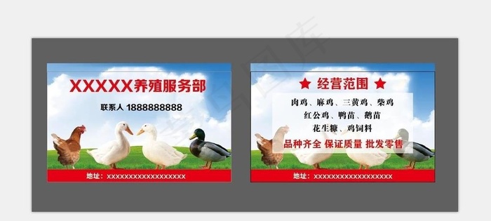 鸡鸭养殖名片图片