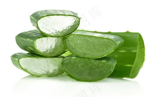 芦荟图片