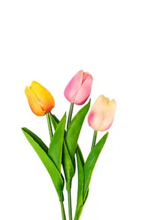 郁金香母亲节鲜花浪漫芬芳png素材