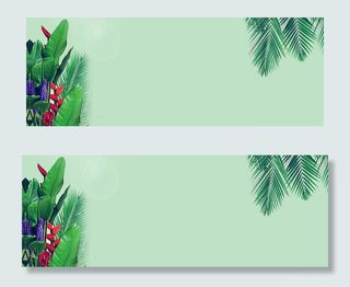 夏日夏天植物上新美妆文艺小清新绿色banner纯色