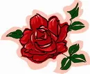 花朵鲜花_208eps,ai矢量模版下载
