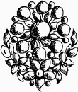 花朵鲜花_1067eps,ai矢量模版下载