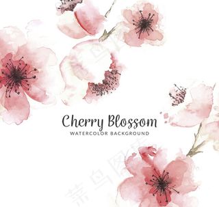 水彩绘樱花花朵