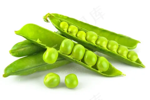 豌豆 豌豆