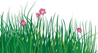 矢量花草eps,ai矢量模版下载