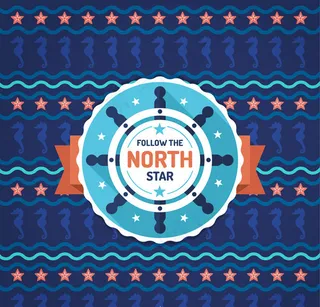 海星和海马背景