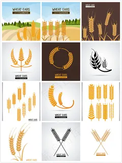 精美麦穗图案