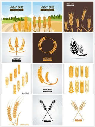 精美麦穗图案