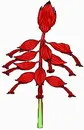 花朵鲜花_9eps,ai矢量模版下载