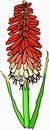 花朵鲜花_652eps,ai矢量模版下载