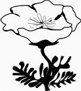 花朵鲜花_1100eps,ai矢量模版下载
