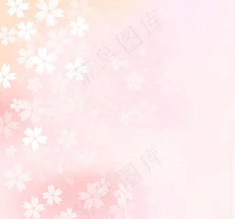 雅樱花花朵背景 雅樱花花朵背景