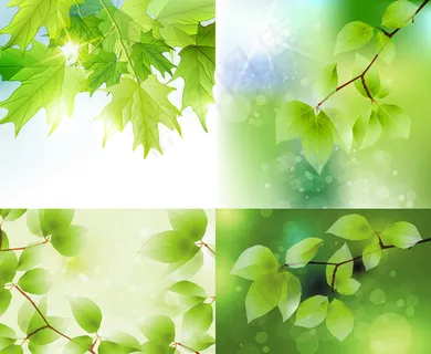 夏季绿叶矢量 夏季绿叶矢量