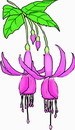 花朵鲜花_531eps,ai矢量模版下载