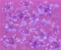 PSD精美花纹_132psd模版下载