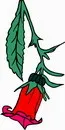 花朵鲜花_213eps,ai矢量模版下载