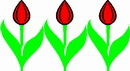 花朵鲜花_562eps,ai矢量模版下载