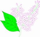 花朵鲜花_396eps,ai矢量模版下载
