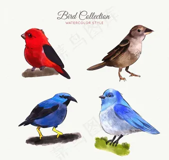 水彩绘鸟类矢量