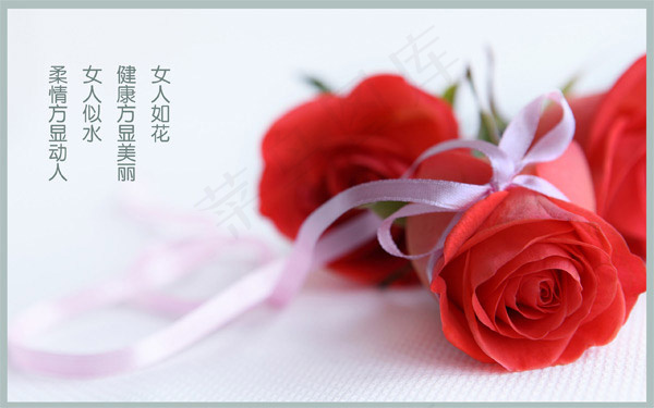 玫瑰花广告背景,背景元素