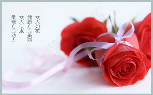 玫瑰花广告背景,背景元素 玫瑰花广告背景,背景元素