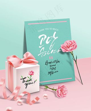 康乃馨礼物海报