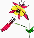 花朵鲜花_579eps,ai矢量模版下载