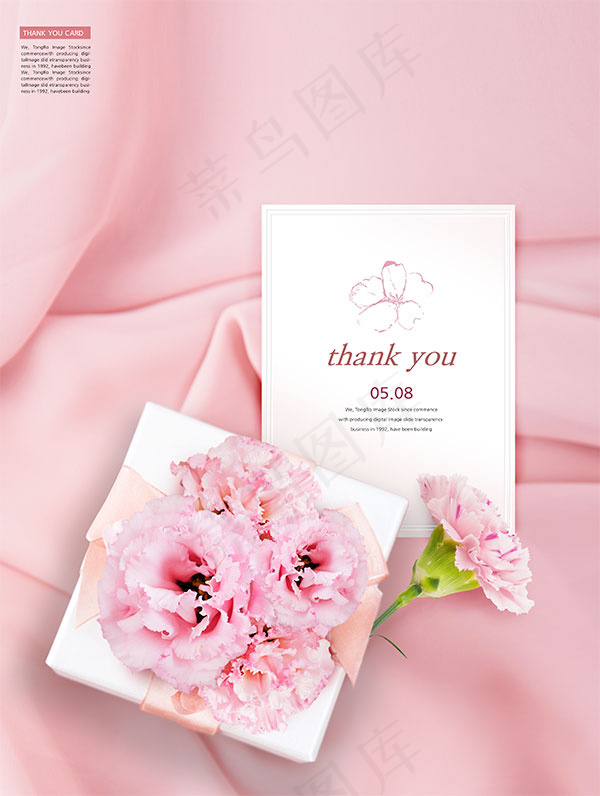 唯美康乃馨感恩卡