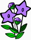 花朵鲜花_781eps,ai矢量模版下载