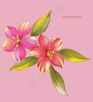 粉色手绘花朵,背景元素