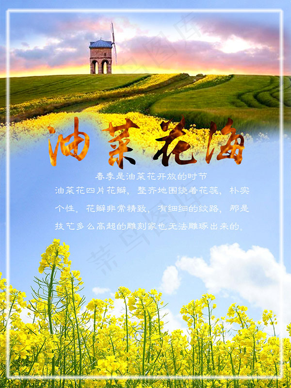 油菜花海旅游海报psd模版下载