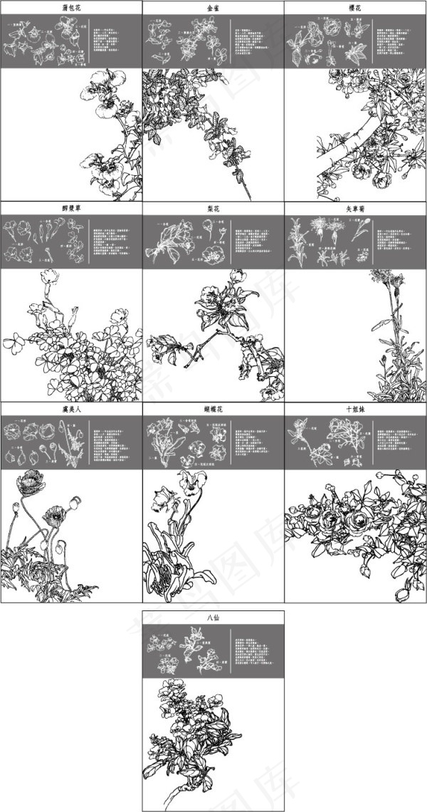 中国工笔画图谱4eps,ai矢量模版下载