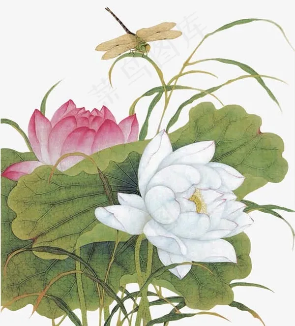 水墨荷花蜻蜓