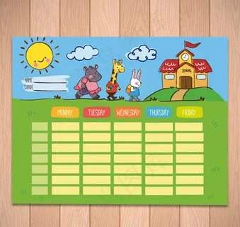 动物装饰课程表