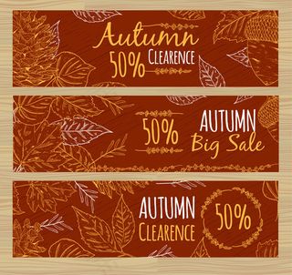 秋季叶子促销banner