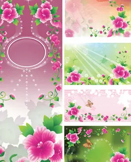 精美娇艳牵牛花