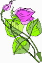 花朵鲜花_173eps,ai矢量模版下载